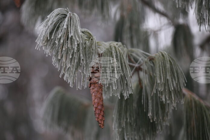Жълт код за ниски температури е обявен за днес в 14 области в страната