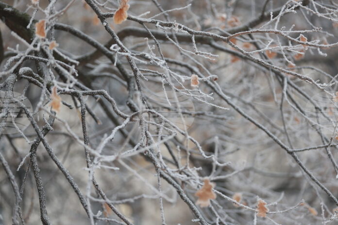 Жълт код за ниски температури е обявен за утре в 14 области в страната