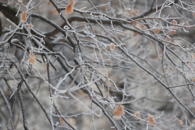 Жълт код за ниски температури е обявен за утре в 14 области в страната