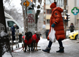 Жълт код за студено време е обявен за днес в цялата страна