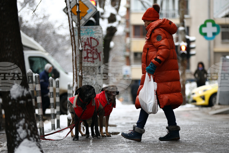 Жълт код за студено време е обявен за днес в цялата страна