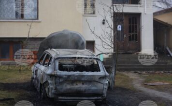 палеж Бистрица