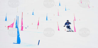 Тервел Замфиров /