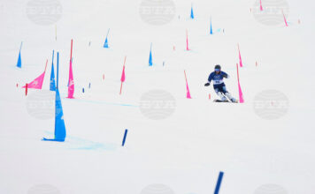 Тервел Замфиров /