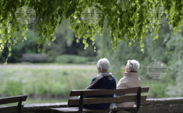Германия има най-възрастно работещо население в ЕС, България е на трето място пенсионери