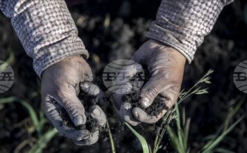 АА: Според ново проучване 70–100% от гените на европейците идват преди хилядолетия от западноанадолски земеделци АА: Според ново проучване 70–100% от гените на европейците идват преди хилядолетия от западноанадолски земеделци