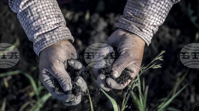 АА: Според ново проучване 70–100% от гените на европейците идват преди хилядолетия от западноанадолски земеделци