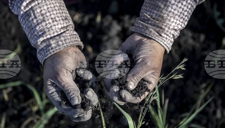АА: Според ново проучване 70–100% от гените на европейците идват преди хилядолетия от западноанадолски земеделци