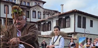 Бутикови изби и домашни винопроизводители представиха реколтата си на традиционния празник „Трифониада“ в Златоград