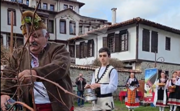 Бутикови изби и домашни винопроизводители представиха реколтата си на традиционния празник „Трифониада“ в Златоград