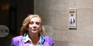 Държавата не може да функционира без бюджет - удължен или нов, каза Искра Михайлова от „ДПС - Ново начало"