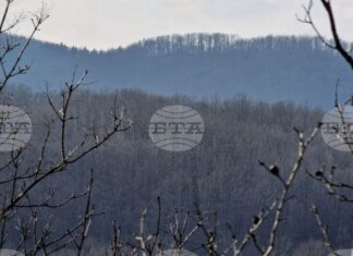 Добри са условията за туризъм, нека се спазват зимните маркировки, заявиха от Планинската спасителна служба