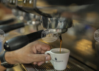 ФНА: Председателят на филипинския сенат се стреми да позиционира страната като нетен износител на кафе до 2035 година