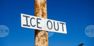 Френската технологична компания „Капджемини“ ще продаде свое американско подразделението заради връзки с ICE