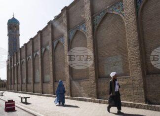 Художник, вдъхновил Анри Матис, дава надежда на творци в управлявания от талибаните Афганистан