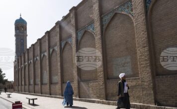 Художник, вдъхновил Анри Матис, дава надежда на творци в управлявания от талибаните Афганистан