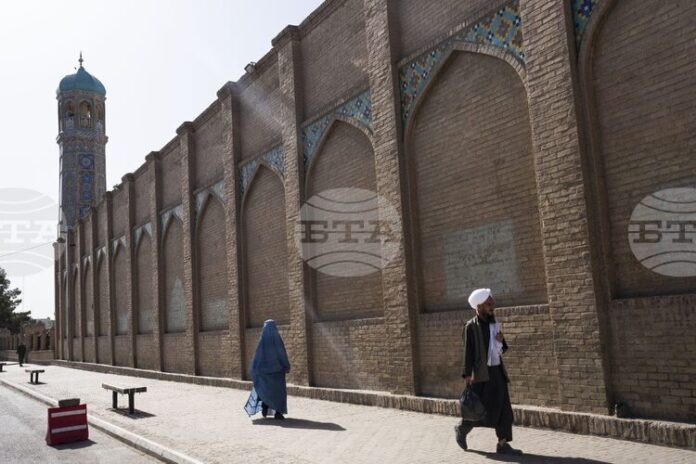 Художник, вдъхновил Анри Матис, дава надежда на творци в управлявания от талибаните Афганистан