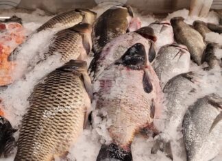 Измамите с риба са широко разпространени на пазарите по целия свят и има все по-голям брой инструменти за борба с тях, сочи доклад на ФАО