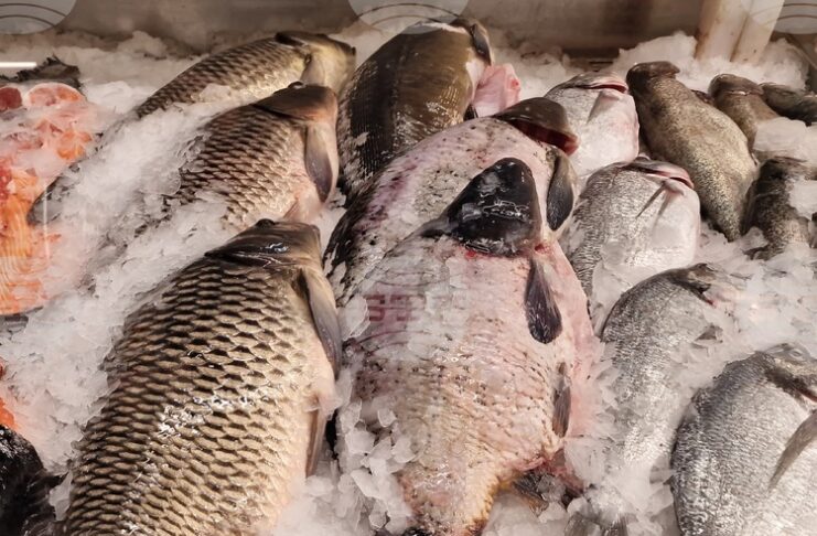 Измамите с риба са широко разпространени на пазарите по целия свят и има все по-голям брой инструменти за борба с тях, сочи доклад на ФАО