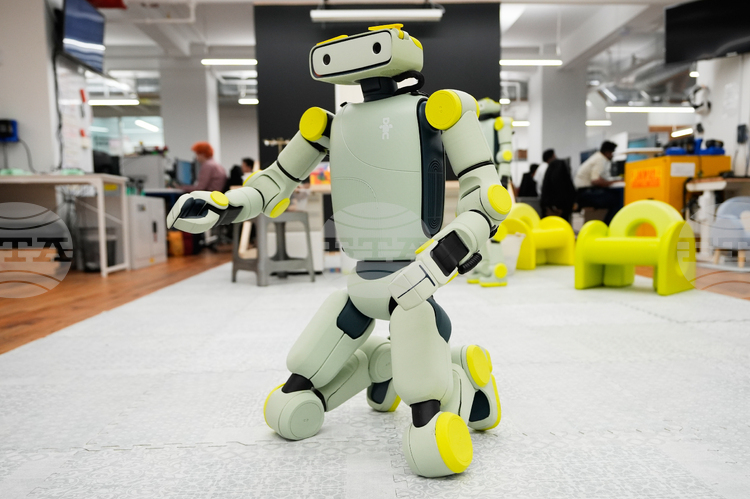 Хуманоидните роботи представляват за мнозина символ на бъдещето и са