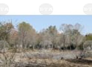 КНА: Сушата е най-значимият риск за кипърската икономика според Кипърския съвет за икономика и конкурентоспособност