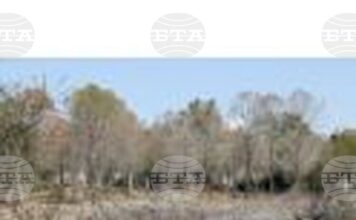 КНА: Сушата е най-значимият риск за кипърската икономика според Кипърския съвет за икономика и конкурентоспособност