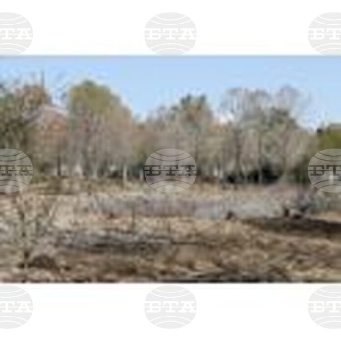 КНА: Сушата е най-значимият риск за кипърската икономика според Кипърския съвет за икономика и конкурентоспособност