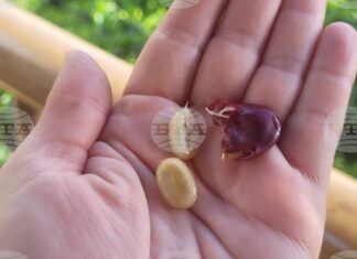 Милиарди чаши кафе на ден, зад които стоят много хора