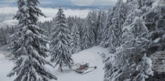 На Витоша временно са затворени пътищата от кв. "Драгалевци" до "Алеко" и от кв. "Бояна" до Златните мостове