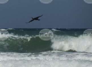 Националният борд за разследване на произшествията в транспорта ще установява причините за потъналия кораб край Маслен нос Националният борд за разследване на произшествията в транспорта ще установява причините за потъналия кораб край Маслен нос