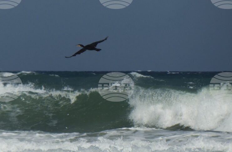 Националният борд за разследване на произшествията в транспорта ще установява причините за потъналия кораб край Маслен нос