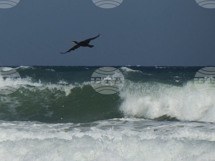 Националният борд за разследване на произшествията в транспорта ще установява причините за потъналия кораб край Маслен нос