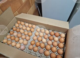 Над 86 000 кокоши яйца без документи, открити при съвместна акция с полицията в Харманли, ще бъдат унищожени, съобщи БАБХ