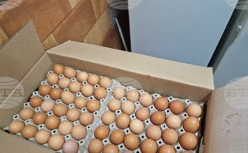 Над 86 000 кокоши яйца без документи, открити при съвместна акция с полицията в Харманли, ще бъдат унищожени, съобщи БАБХ