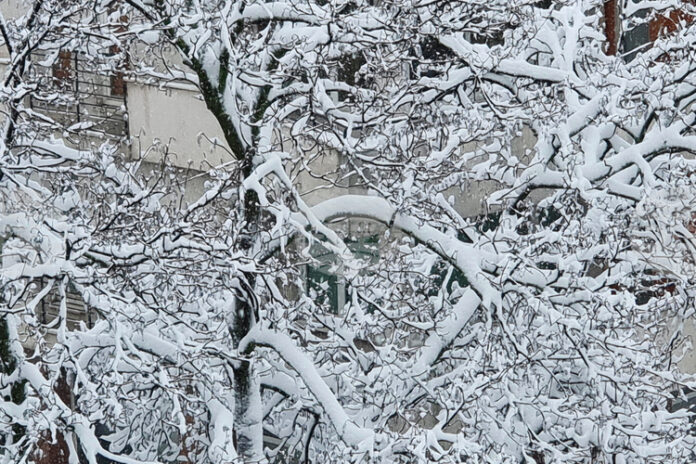 Оранжев код за валежи от дъжд и сняг е обявен Оранжев код за валежи от дъжд и сняг е обявен в девет области