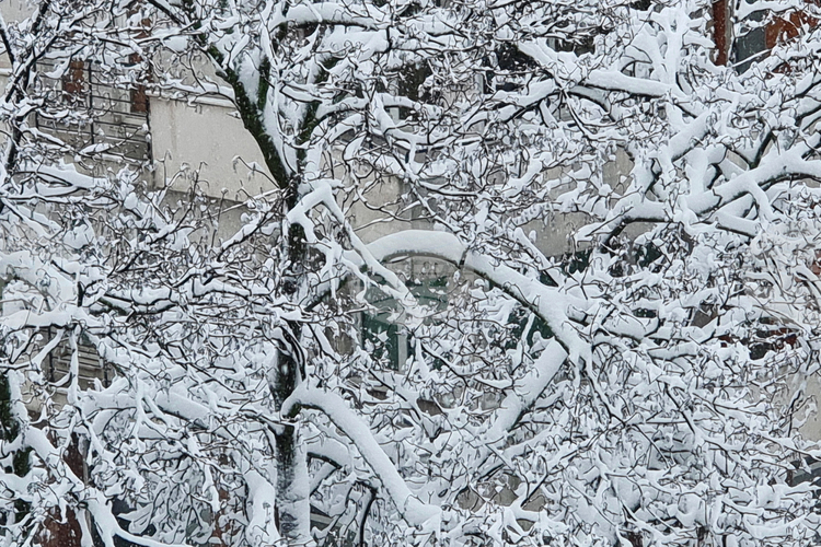 Оранжев код за валежи от дъжд и сняг е обявен в девет области