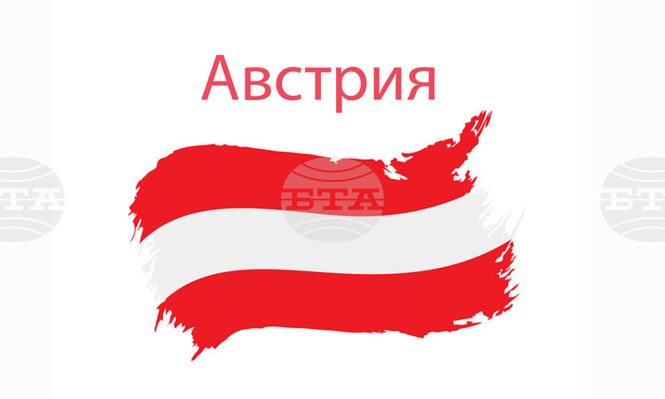 Правителствените ръководители на Австрия и Чехия подчертаха единството си по въпросите на миграцията