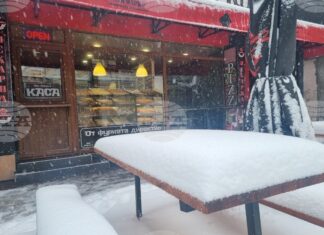 Продажбите на едро в област Търговище намаляват с 2,8 на сто през 2024 г., отчита статистиката