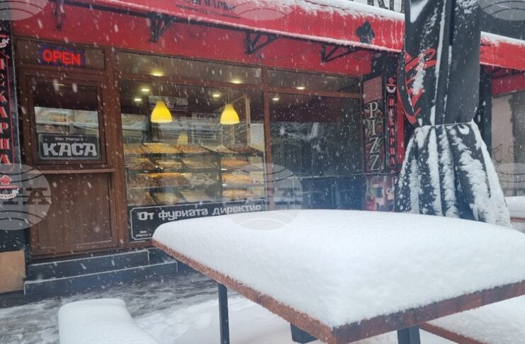 Продажбите на едро в област Търговище намаляват с 2,8 на сто през 2024 г., отчита статистиката