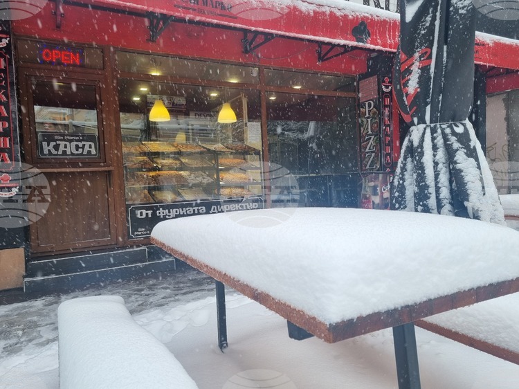 Продажбите на едро в област Търговище намаляват с 2,8 на сто през 2024 г., отчита статистиката