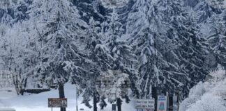 Проходът Шипка от север е почистен и обработен е против заледяване