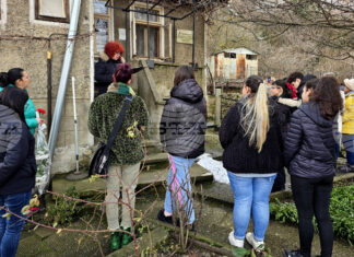 С поднасяне на цветя в Свищов бе отбелязана 148-ата годишнина от рождението на художника Александър Божинов