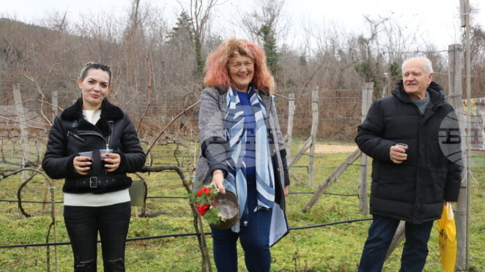 С ритуално зарязване на лозите и дегустация на вина Ботаническата градина в Балчик отбеляза Трифон Зарезан