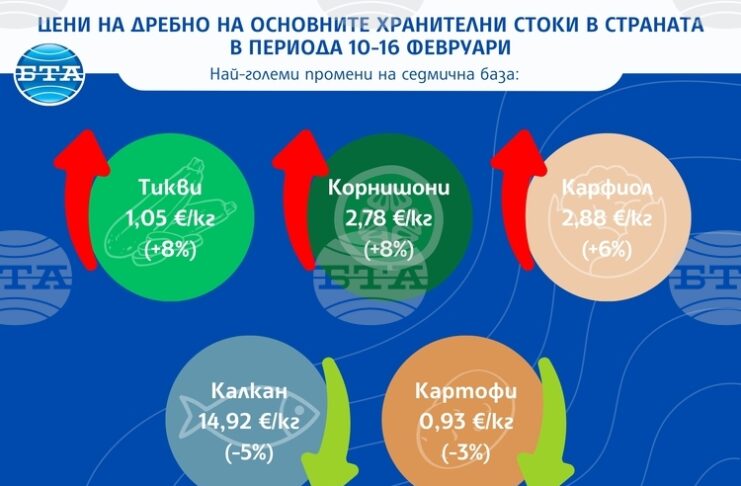 Сезонен ръст при оранжерийните зеленчуци, стабилност в месния и млечния сектор в средата на февруари отчита САПИ в седмичния си доклад за цените на дребно