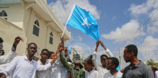 Сомалиленд е готов да предостави на САЩ достъп до своите минерални ресурси, както и възможност за разполагане на американски военни бази