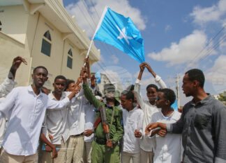 Сомалиленд е готов да предостави на САЩ достъп до своите минерални ресурси, както и възможност за разполагане на американски военни бази