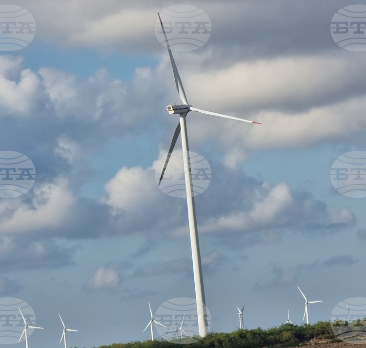 Тридесет процента от електричеството в Европа е осигурено от вятърна енергия през изминалото денонощие