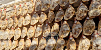 В две туристически борси ще участва Община Елена през февруари