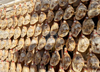 В две туристически борси ще участва Община Елена през февруари