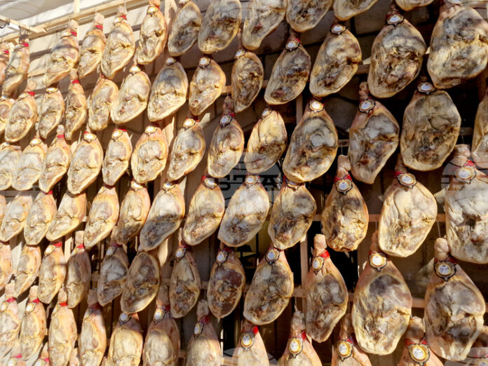 В две туристически борси ще участва Община Елена през февруари